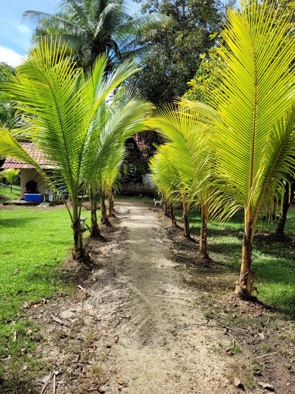Villas Maria Luisa อูวีตา ภายนอก รูปภาพ