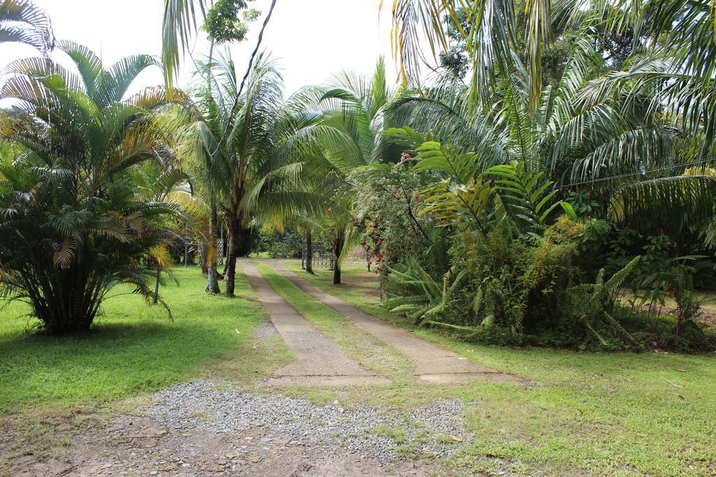 Villas Maria Luisa อูวีตา ภายนอก รูปภาพ